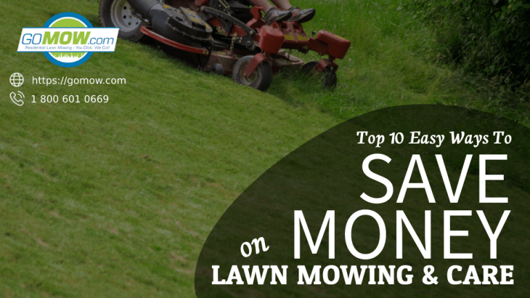 10 Best Weed Eaters of 2024: Top Picks for Effortless Lawn Care