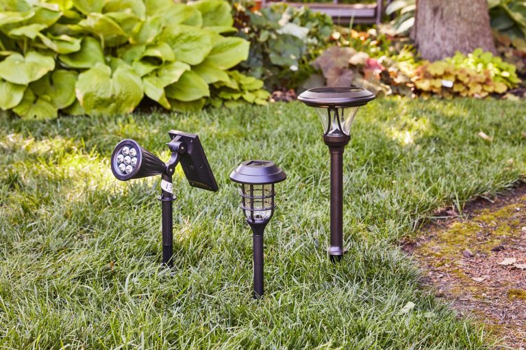 Best Patio Lights: Top Picks for 2024 to Illuminate Your Outdoor Space