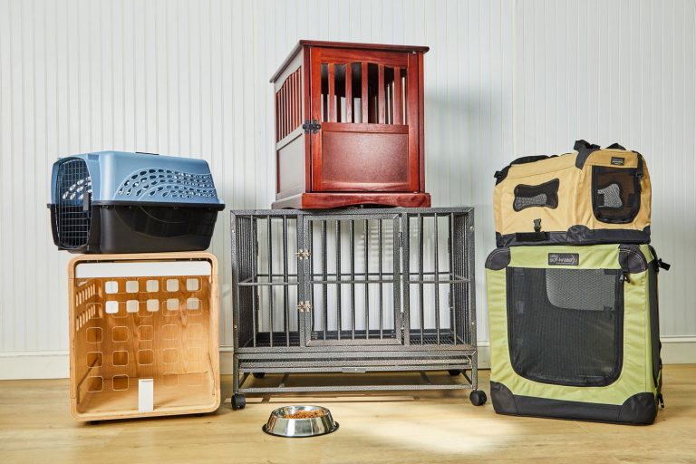 10 Best Dog Crates for Large Dogs: Top Picks for 2024