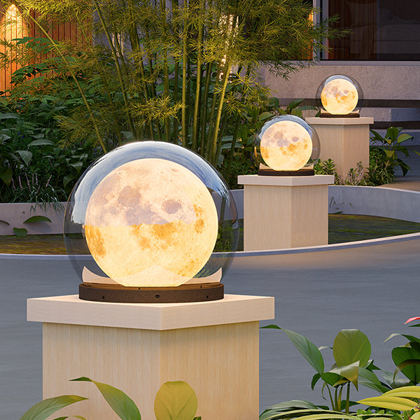 10 Best Moon Flower Products of 2024: Illuminate Your Garden