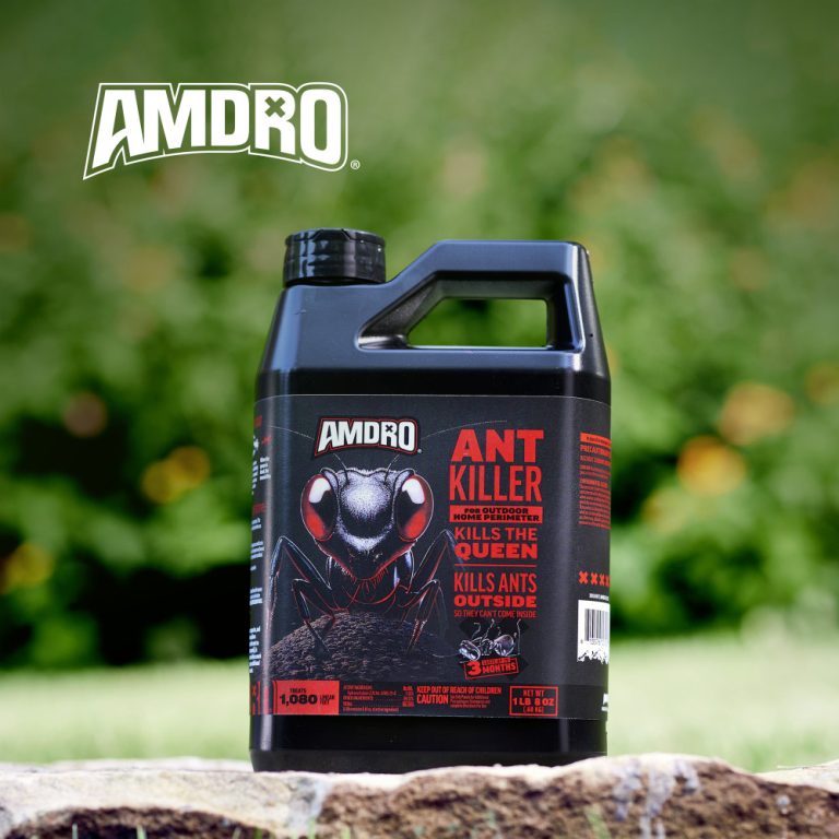 10 Best Ant Killers for Outdoor Use in 2024: Top Products Reviewed