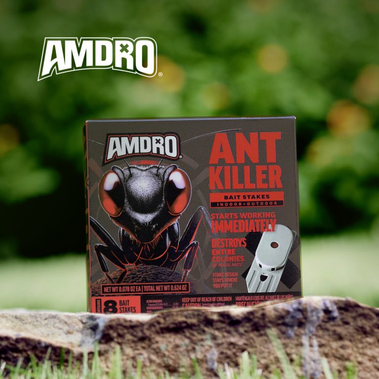 10 Best Ant Baits to Kill Entire Colony in 2024: Top Products Reviewed