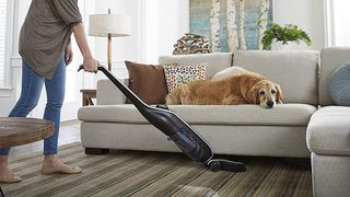 10 Best Carpet Vacuum Cleaners for 2024: Top Picks for Spotless Floors