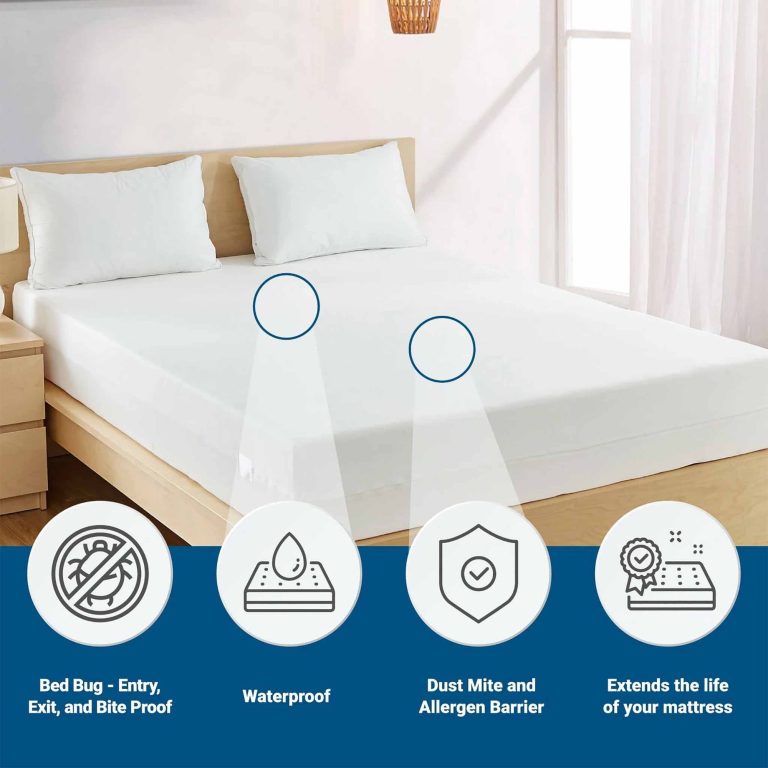 10 Best Bed Bug Mattress Covers for Ultimate Protection in 2024