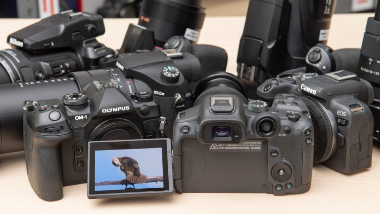 10 Best Birding Cameras for Stunning Wildlife Photography in 2024