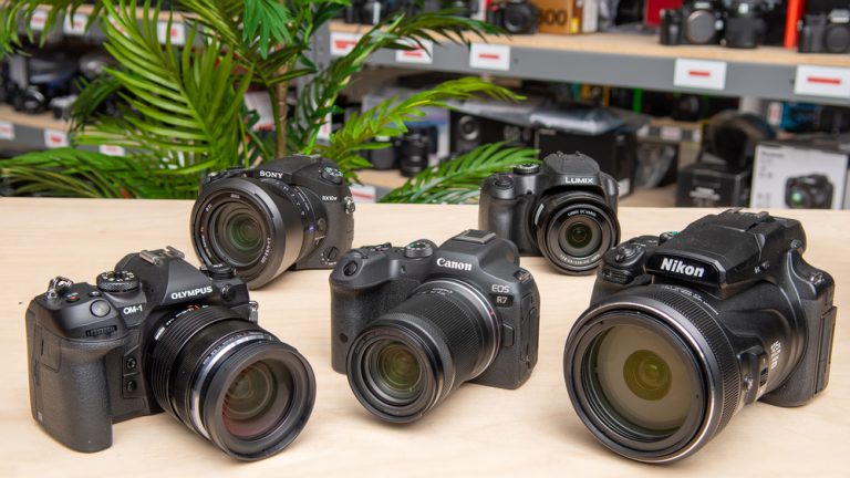 10 Best Cameras for Birders in 2024: Top Picks for Wildlife Photography