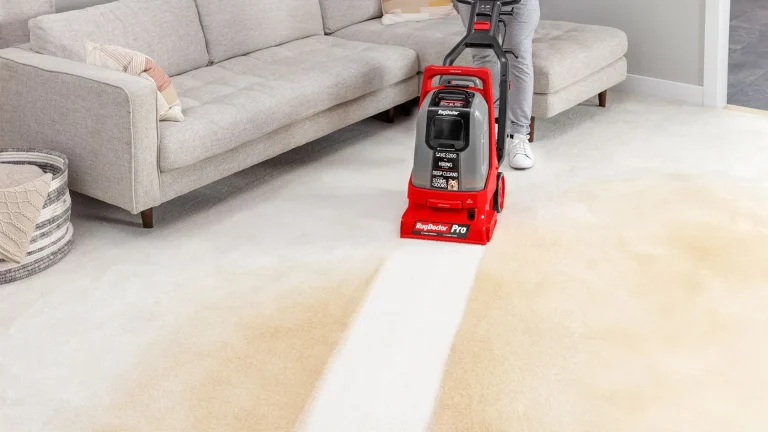 Best Carpet Cleaner Solution for 2024: Top Picks for Your Carpet Cleaner