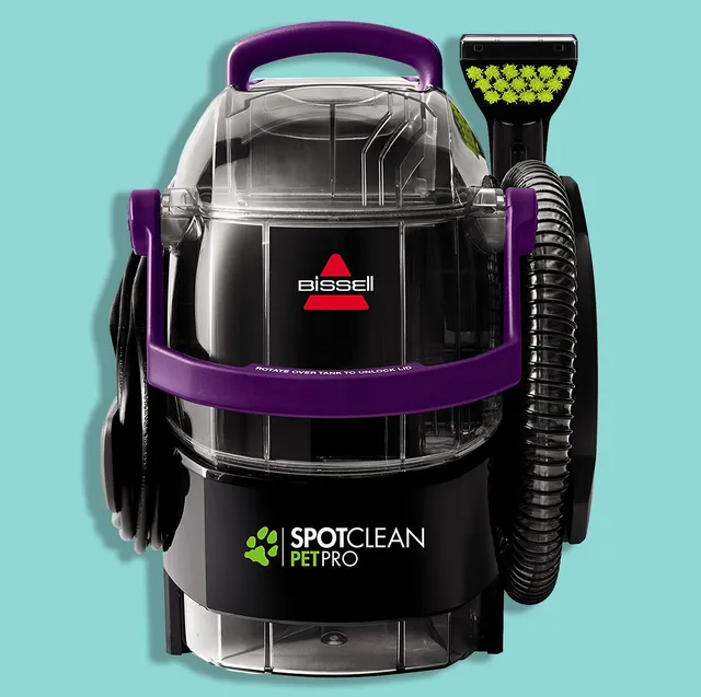 Best Carpet Cleaners for Pets: Top Picks for 2024’s Best Products