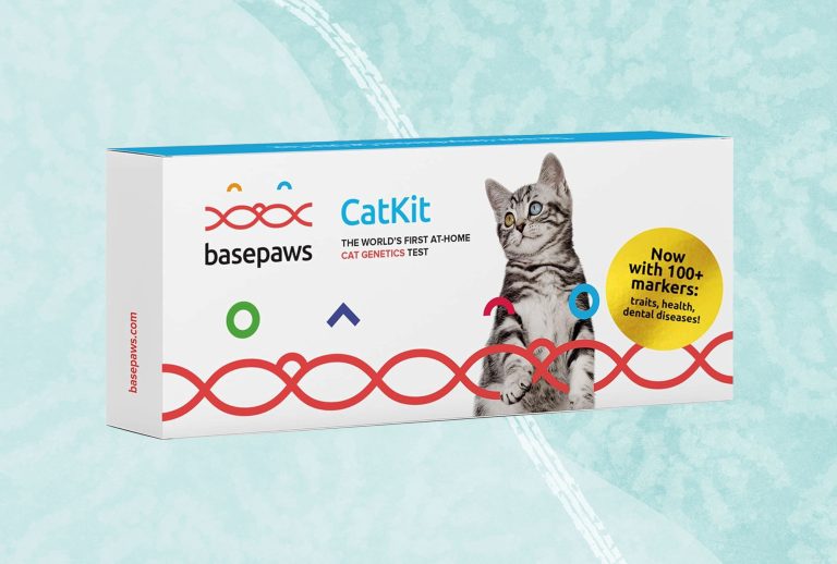 10 Best Cat DNA Tests of 2024: Uncover Your Feline’s Genetics Today!