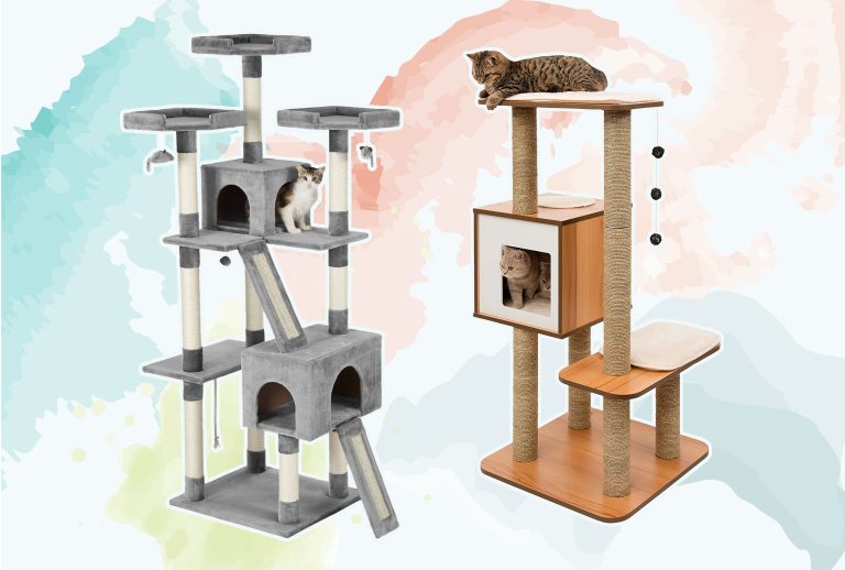 Best Cat Tree for Large Cats: Top Picks for 2024’s Best Products