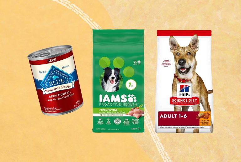 10 Best Small Breed Foods for 2024: Top Products for Your Pup