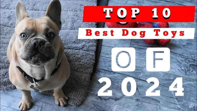 10 Best Dog Toys of 2024: Top Picks for Your Furry Friend’s Fun!