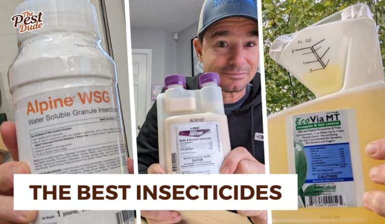 10 Best Insect Sprays for Home in 2024: Top Picks for Effective Pest Control