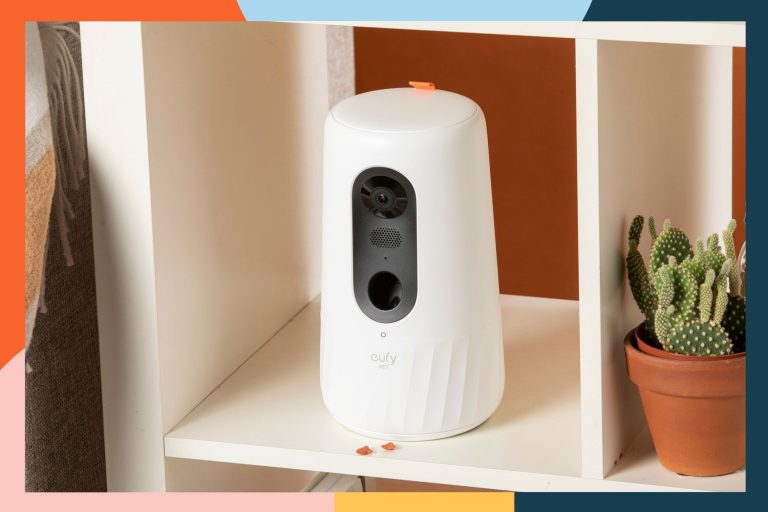 10 Best Pet Cameras of 2024: Top Picks for Keeping an Eye on Your Furry Friends