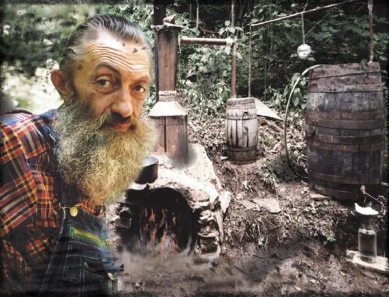 Best Popcorn Sutton Products: Top Picks for 2024 You Must Try!