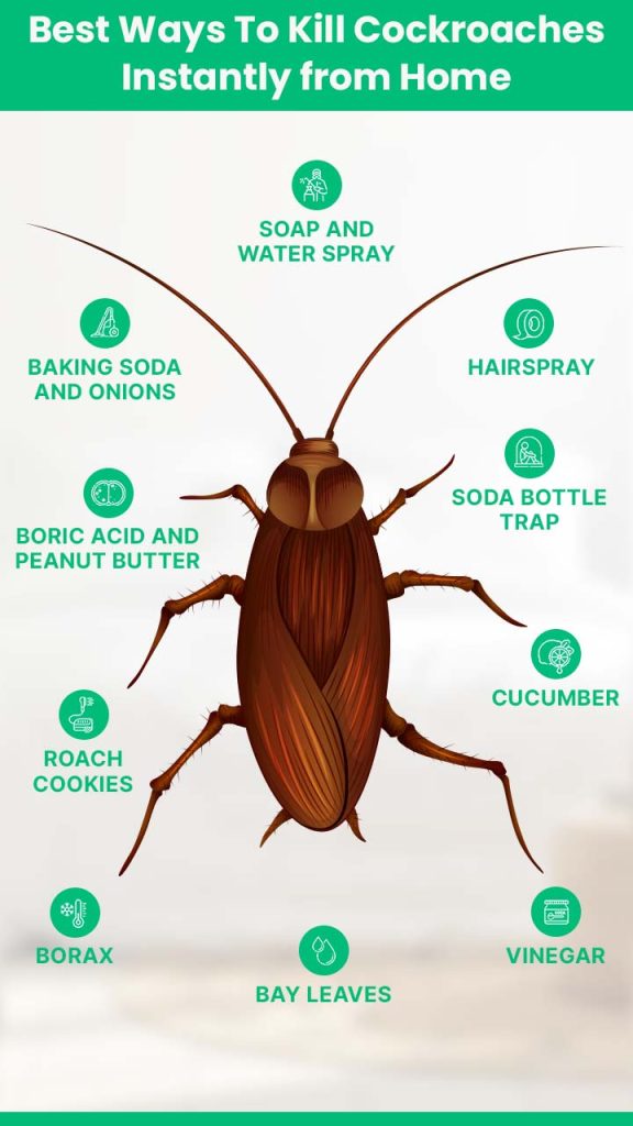 10 Best Cockroach Killers of 2024: Effective Solutions for Your Home