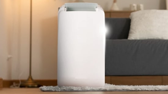 Dehumidifier Buying Guide: Find the Perfect Unit for Your Home