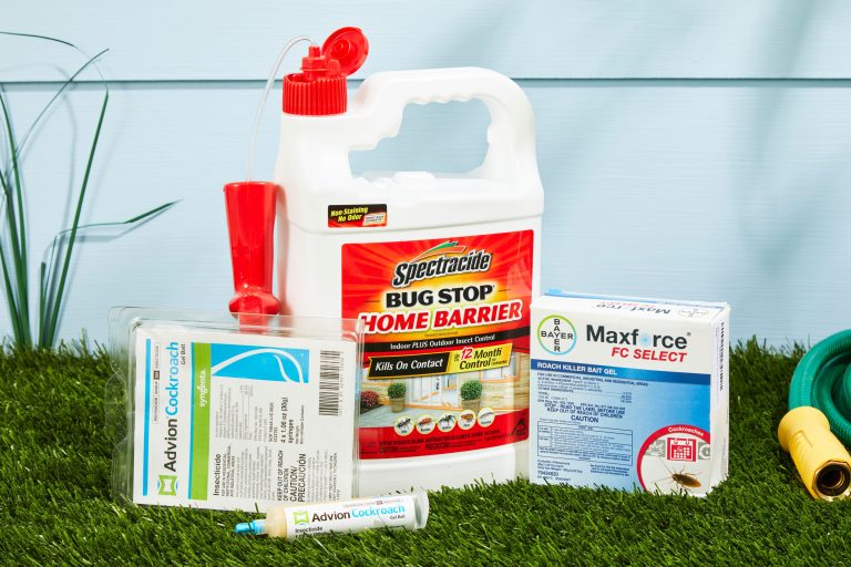 10 Best Roach Killers for Home in 2024: Top Products to Eliminate Pests