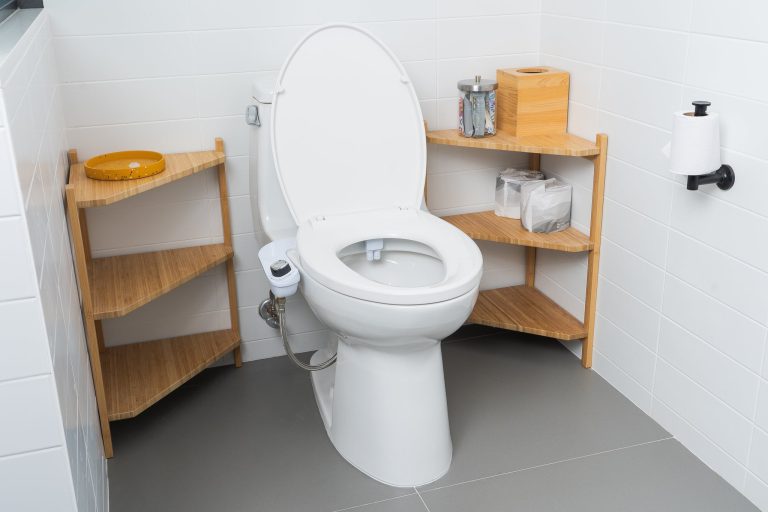 10 Best Bidet Attachments for Toilet: Top Picks for 2024