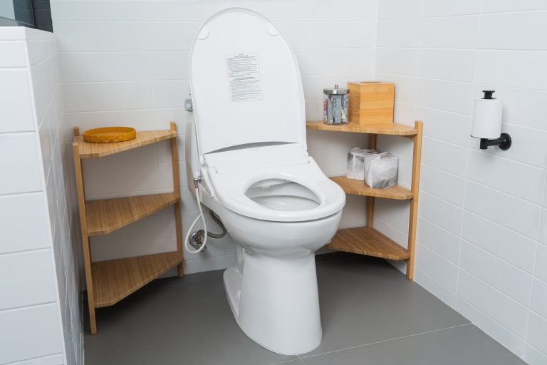 10 Best Bidet Toilet Seats: Top Rated Picks for 2024