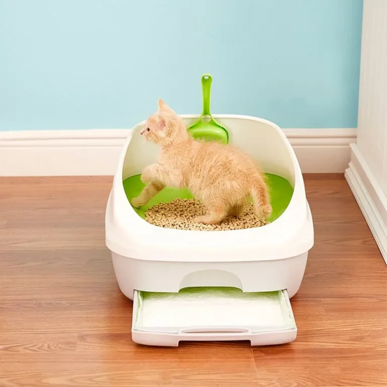 Cat Litter Box Buying Guide: Find the Perfect Fit for Your Feline Friend