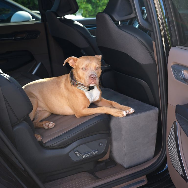 Best Dog Car Seat: Top Choices for 2024’s Safest Travel Companion!