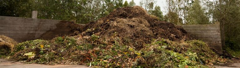 10 Best Composters to Boost Your Gardening in 2024