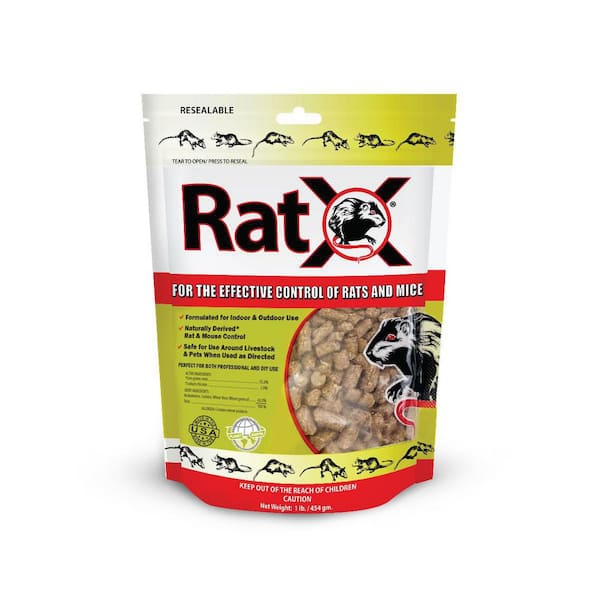 10 Best Mouse Poisons for Effective Rodent Control in 2024