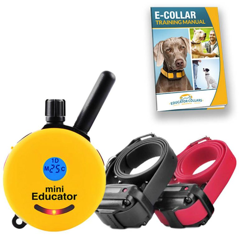 10 Best E-Collars in 2024: Top Picks for Training and Safety