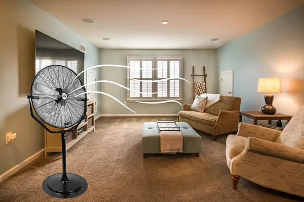 Fan Buying Guide: How to Choose the Perfect Fan for Your Home