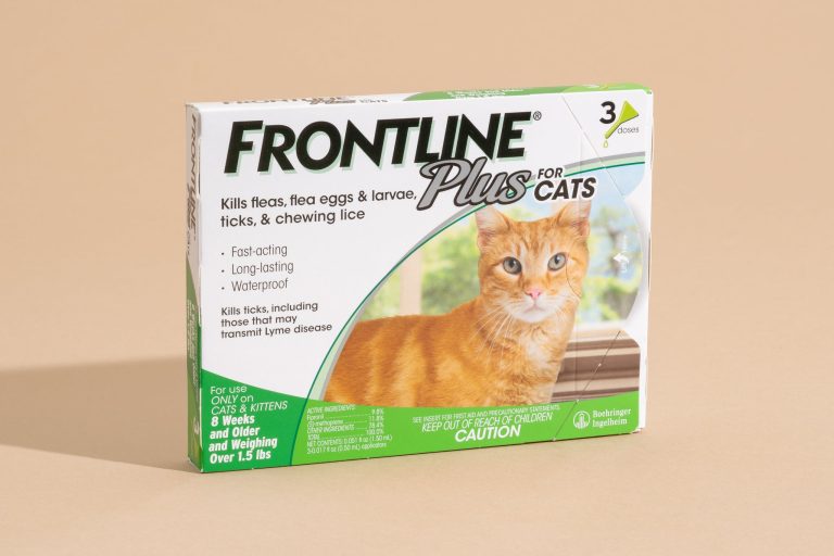 10 Best Over the Counter Flea Treatments for Cats in 2024