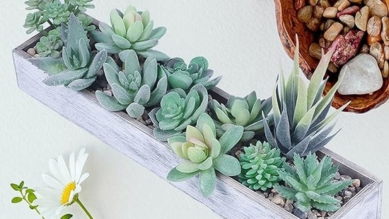 10 Best Fake Plants for a Lush Vibe in Your Home – Top Picks for 2024