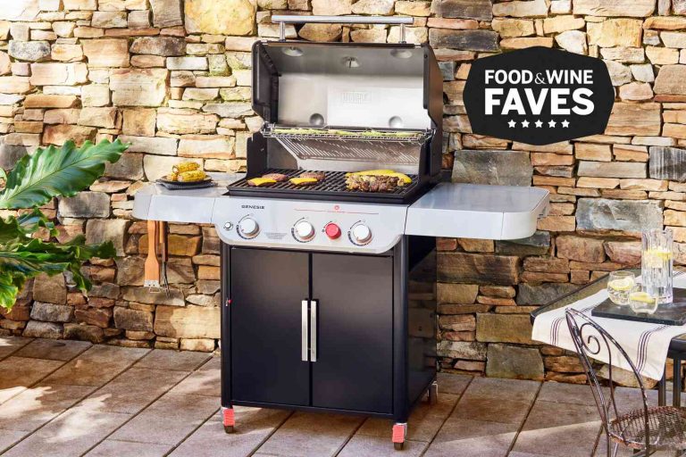 Best Outdoor Electric Grill: Top Choices for 2024’s Ultimate Barbecue