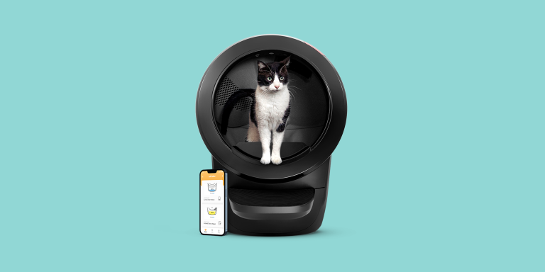 Best Self-Cleaning Cat Litter Box: Top Picks for 2024’s Best Products