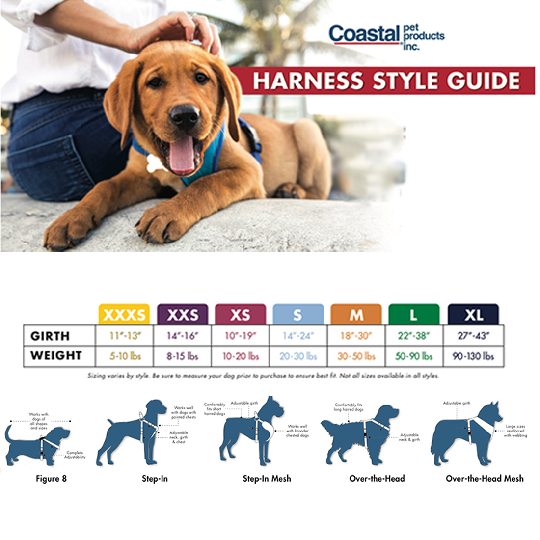 Harness for Small Dogs Buying Guide: Choose the Perfect Fit for Your Pup