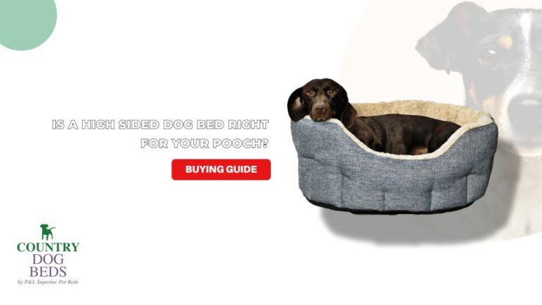 Dog Beds Buying Guide: Choose the Perfect Bed for Your Furry Friend