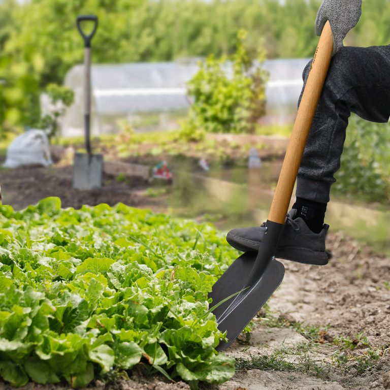 Garden Shears Buying Guide: Choose the Perfect Tool for Your Garden