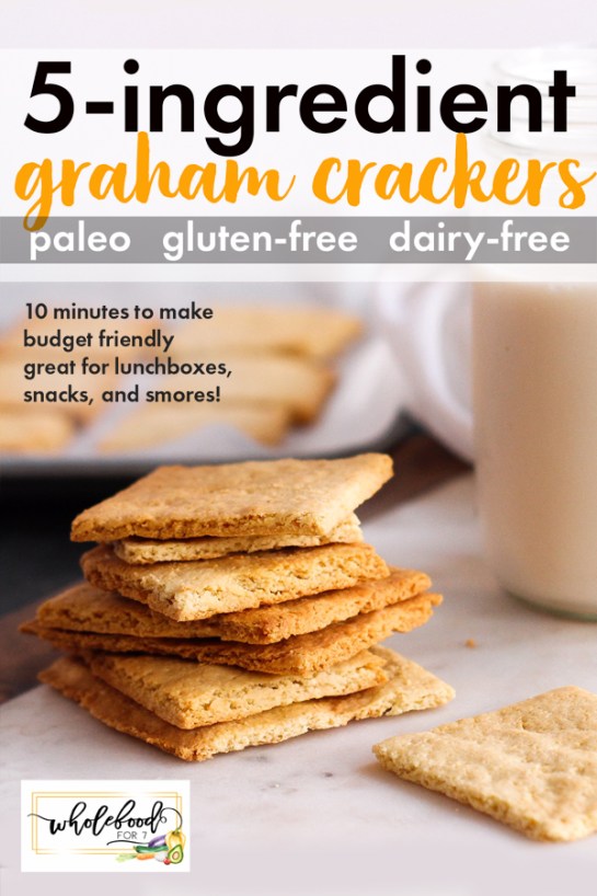 10 Best Gluten Free Graham Crackers