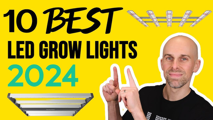 10 Best Grow Lights