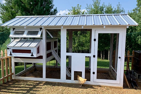 10 Best Chicken Coops For Sale