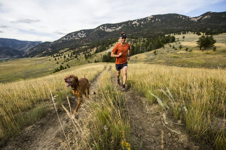 Best Dogs to Take Running: Top Breeds for 2024 Fitness Adventures