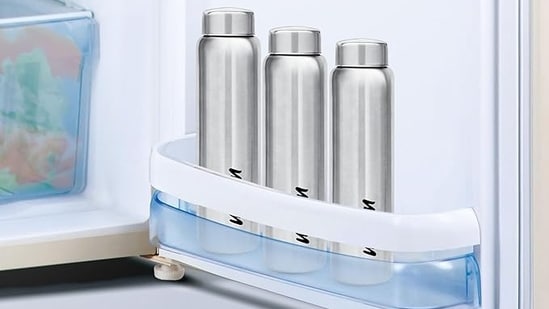 10 Best Stainless Steel Water Bottles of 2024: Top Picks for You