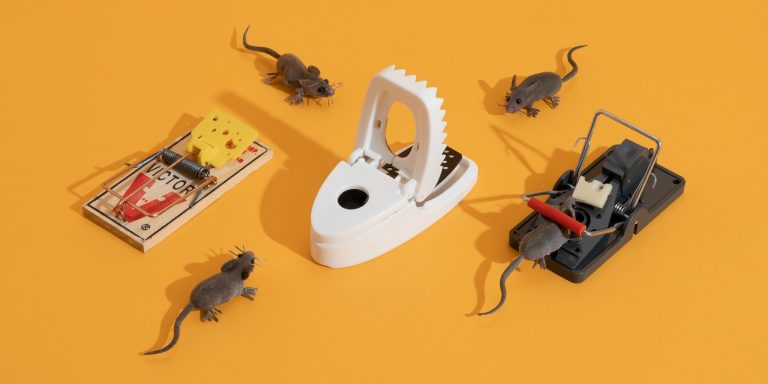 Mice Traps Buying Guide: Your Essential Tips for Effective Pest Control