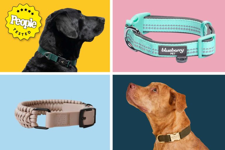 10 Best Dog Leashes for 2024: Top Picks for Every Pup’s Needs