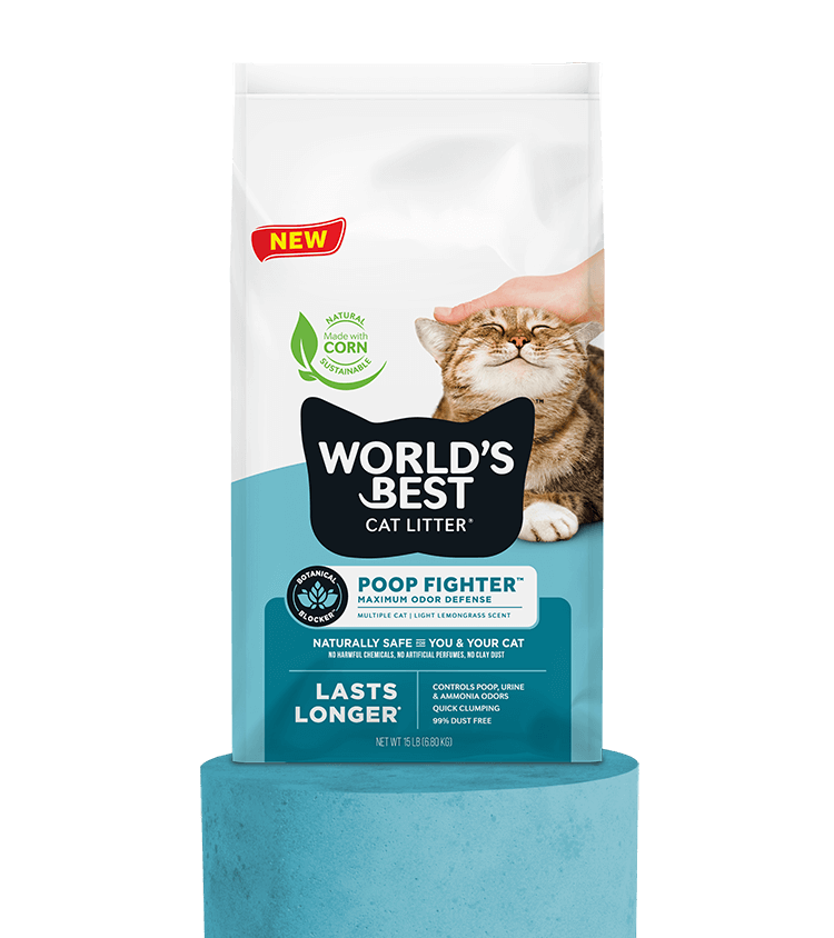 10 Best Cat Litters for 2024: Discover the World’s Best Options!