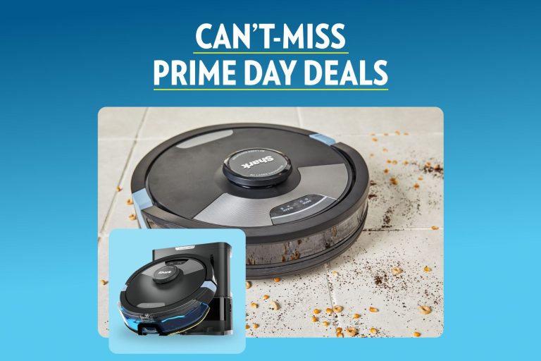 10 Best Wet/Dry Vacuums for 2024: Top Products You Can’t Miss!