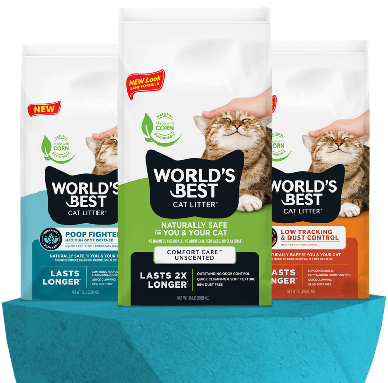 10 Best Products: World’s Best Cat Litter for 2024