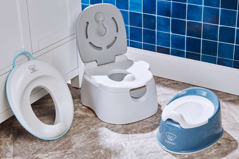 Best Potty Seat for Potty Training: Top Picks for 2024 Success