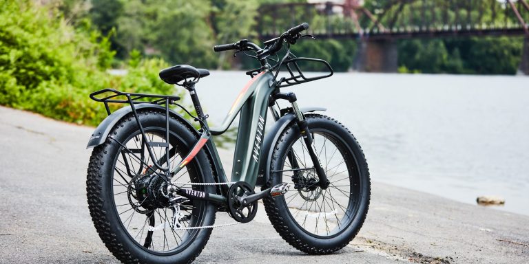 10 Best Fat Tire Ebikes of 2024: Top Picks for All-Terrain Adventures