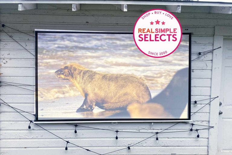 10 Best Outdoor Projector Screens for 2024: Top Picks for Your Setup